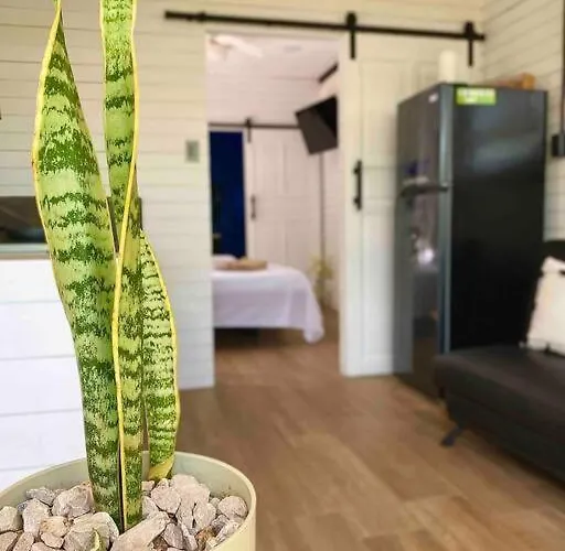 Apartment Hoja Azul Loft Guanacaste *